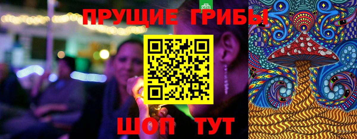 Псилоцибиновые грибы Psilocybine cubensis  Вход с VPN  Братск 